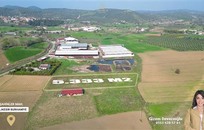 BURHANİYE ŞAHİNLER'DE 2 PARSEL TOPLAM 8.898 M2 TARLA C21BAL