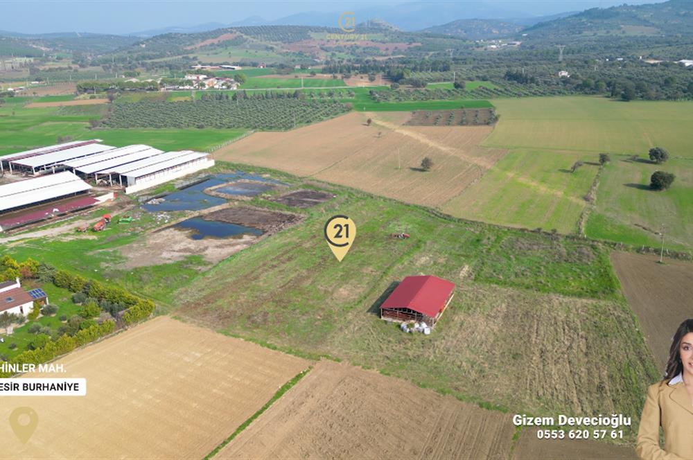 BURHANİYE ŞAHİNLER'DE 2 PARSEL TOPLAM 8.898 M2 TARLA C21BAL