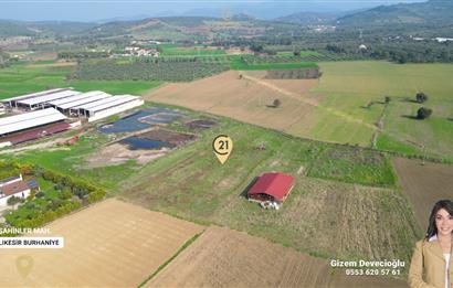 BURHANİYE ŞAHİNLER'DE 2 PARSEL TOPLAM 8.898 M2 TARLA C21BAL