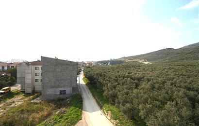 C21 Cius; DOĞA MANZARALI SIFIR 3+1 YERDEN ISITMALI DAİRE