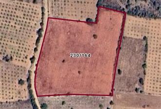 DENİZLİ ÇAL SÜLLER'DE SATILIK 8.845 m² TARLA - 1 - 29459