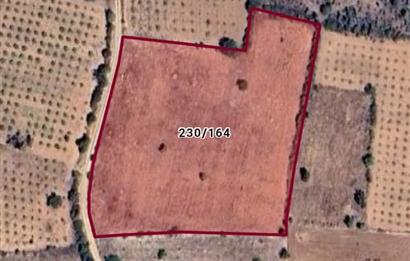 DENİZLİ ÇAL SÜLLER'DE SATILIK 8.845 m² TARLA