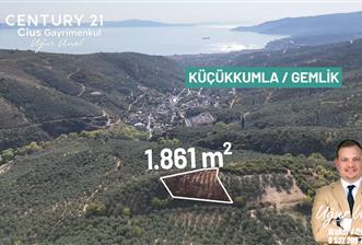 C21Cius: Kumla'da Resmi Yola Cephe 1861 m2 Zeytinlik - 2 - 29447