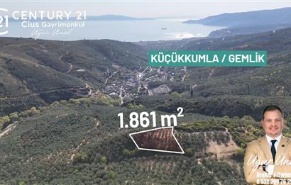 C21Cius: Kumla'da Resmi Yola Cephe 1861 m2 Zeytinlik