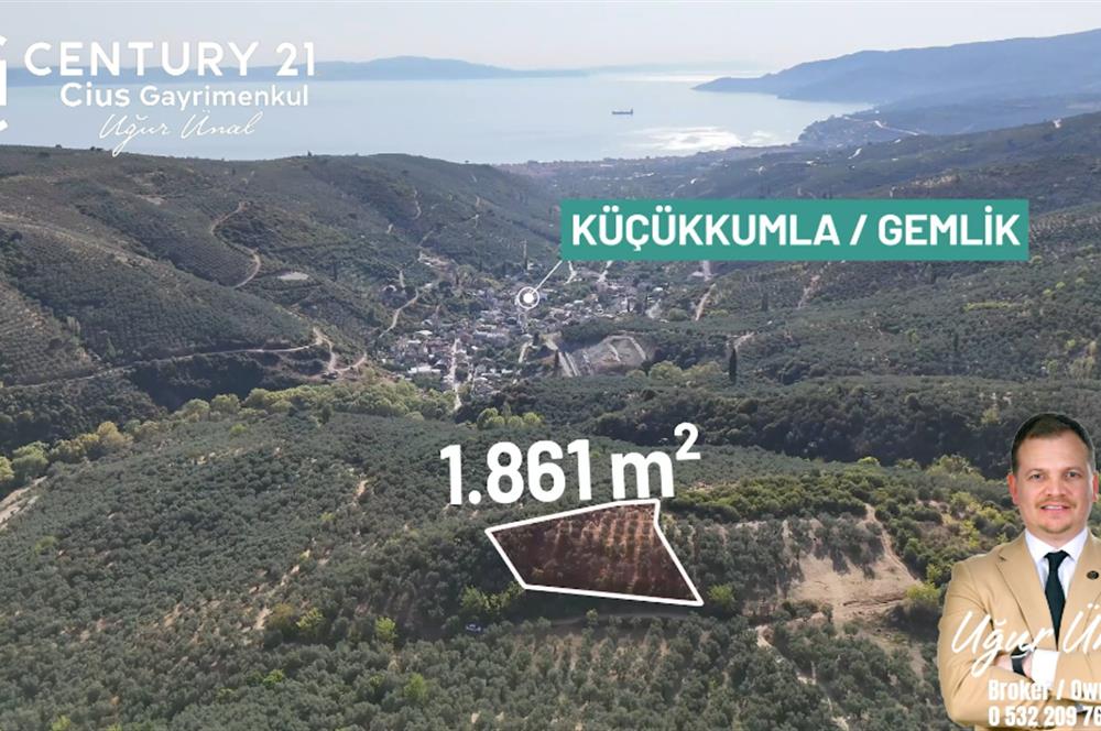 C21Cius: Kumla'da Resmi Yola Cephe 1861 m2 Zeytinlik