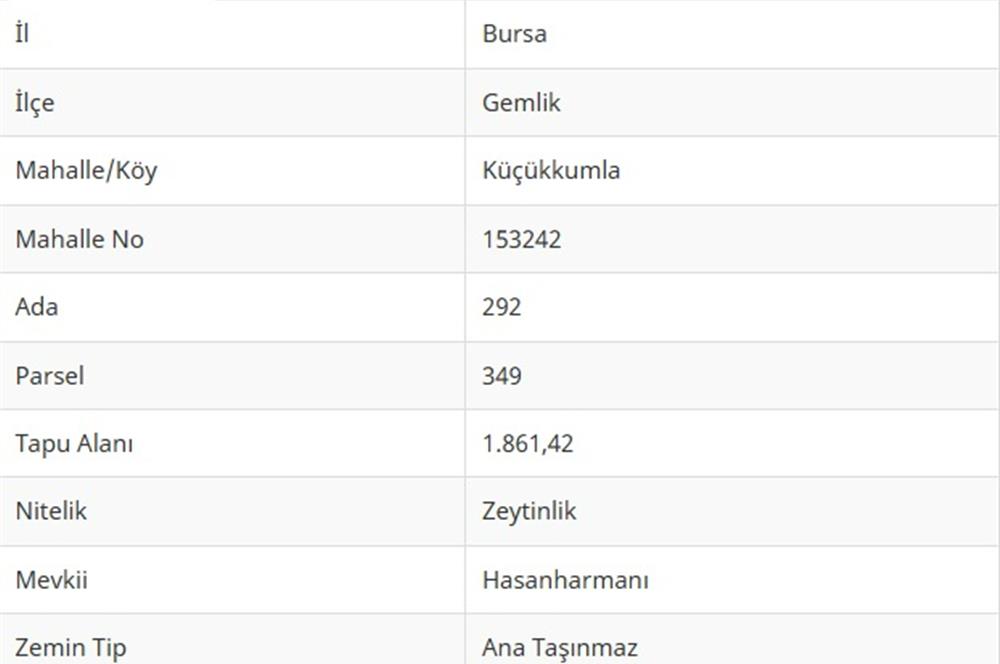 C21Cius: Kumla'da Resmi Yola Cephe 1861 m2 Zeytinlik