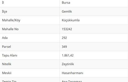 C21Cius: Kumla'da Resmi Yola Cephe 1861 m2 Zeytinlik