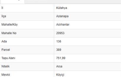 ASLANAPADA DEĞERLENEN BÖLGE! ALTYAPILI, KÖY İÇİ İMARLI