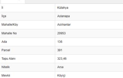 ASLANAPADA DEĞERLENEN BÖLGE! ALTYAPILI, KÖY İÇİ İMARLI