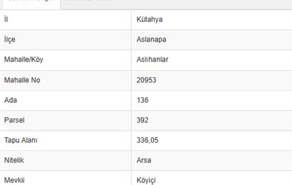 ASLANAPADA DEĞERLENEN BÖLGE! ALTYAPILI, KÖY İÇİ İMARLI