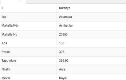ASLANAPADA DEĞERLENEN BÖLGE! ALTYAPILI, KÖY İÇİ İMARLI