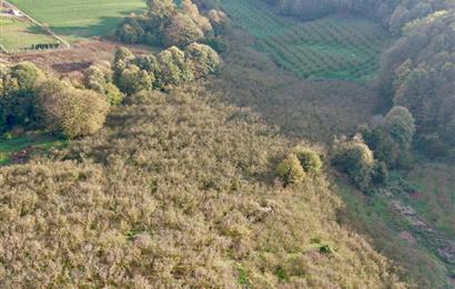 SAKARYA FERİZLİ TEBERİK MAHALLESİ SATILIK  TARLA