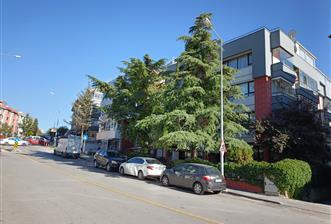 ÇANKAYA BİRLİK MAH. 5+1 ÇATI DUBLEKS TERASLI KATTA TEK DAİRE - 3 - 29473