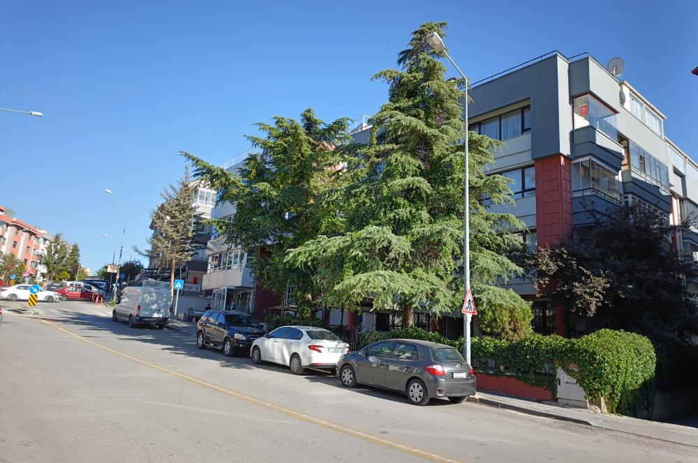 ÇANKAYA BİRLİK MAH. 5+1 ÇATI DUBLEKS TERASLI KATTA TEK DAİRE