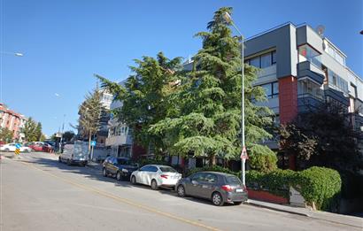 ÇANKAYA BİRLİK MAH. 5+1 ÇATI DUBLEKS TERASLI KATTA TEK DAİRE