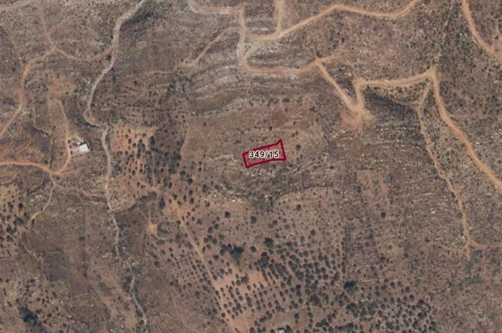 Bodrum Mazı muhtesem deniz manzaralı satılık tarla