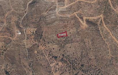 Bodrum Mazı muhtesem deniz manzaralı satılık tarla