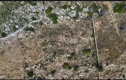 Bodrum Mazı muhtesem deniz manzaralı satılık tarla