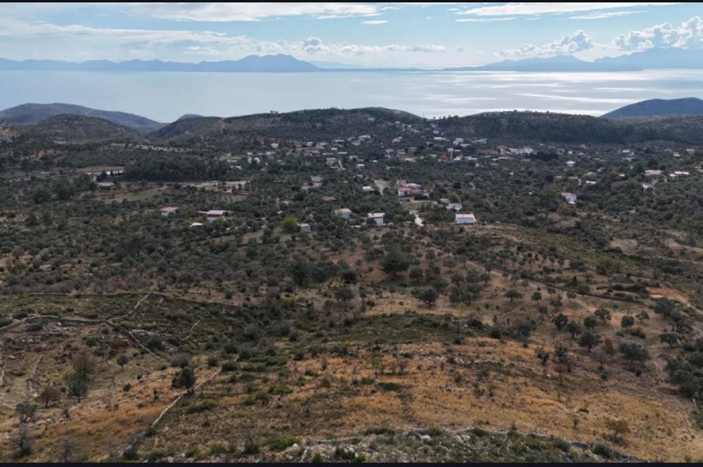 Bodrum Mazı muhtesem deniz manzaralı satılık tarla