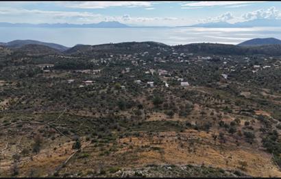 Bodrum Mazı muhtesem deniz manzaralı satılık tarla
