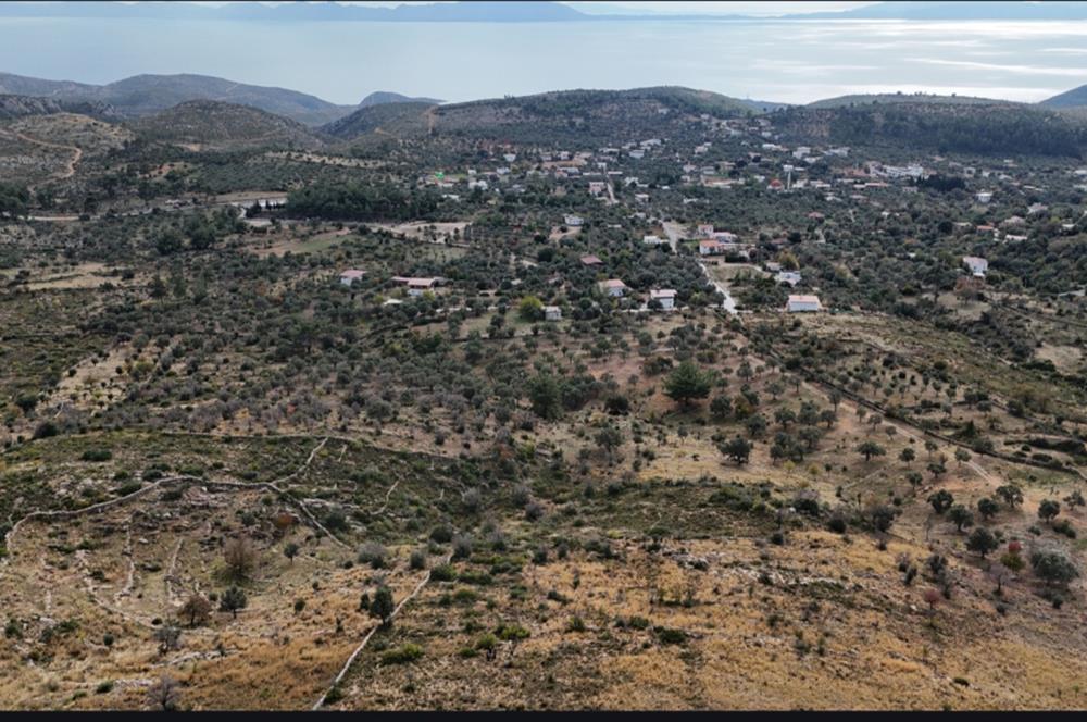 Bodrum Mazı muhtesem deniz manzaralı satılık tarla