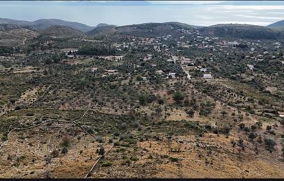 Bodrum Mazı muhtesem deniz manzaralı satılık tarla