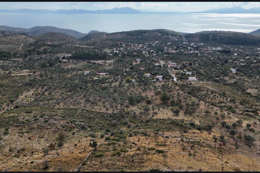 Bodrum Mazı muhtesem deniz manzaralı satılık tarla
