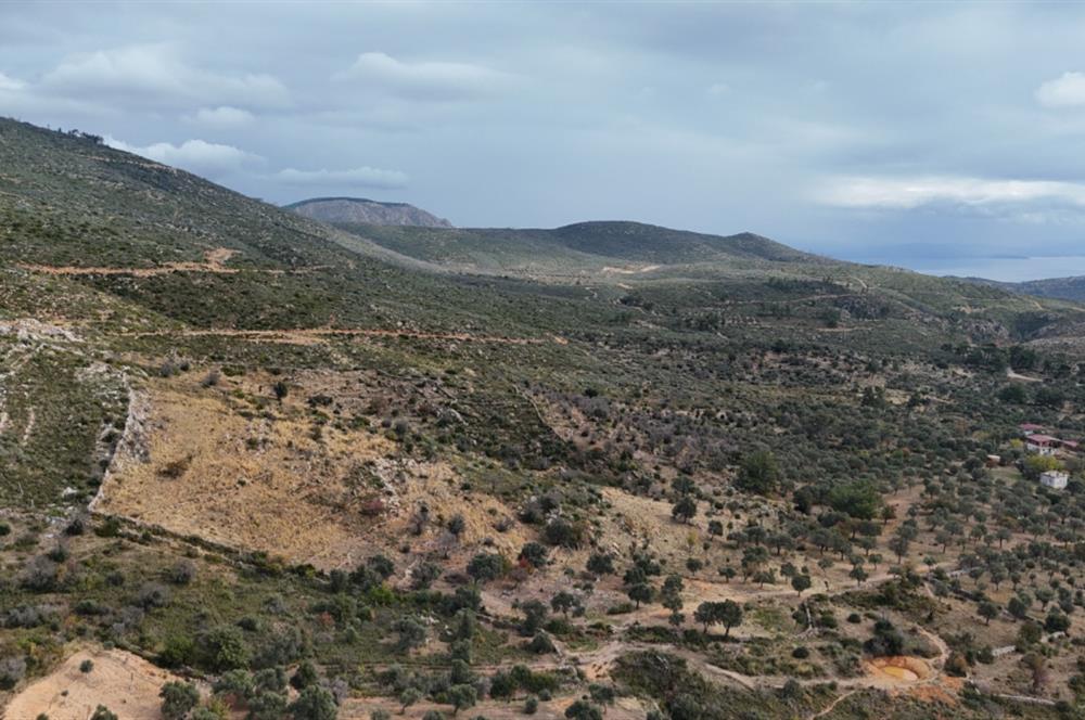 Bodrum Mazı muhtesem deniz manzaralı satılık tarla