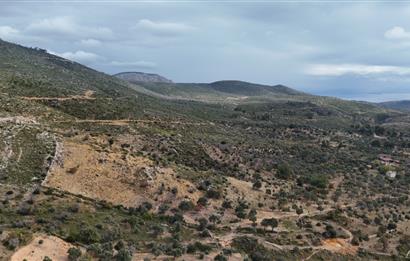 Bodrum Mazı muhtesem deniz manzaralı satılık tarla