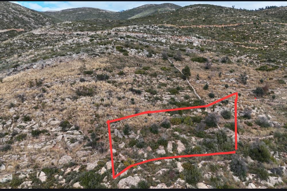 Bodrum Mazı muhtesem deniz manzaralı satılık tarla