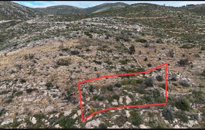 Bodrum Mazı muhtesem deniz manzaralı satılık tarla