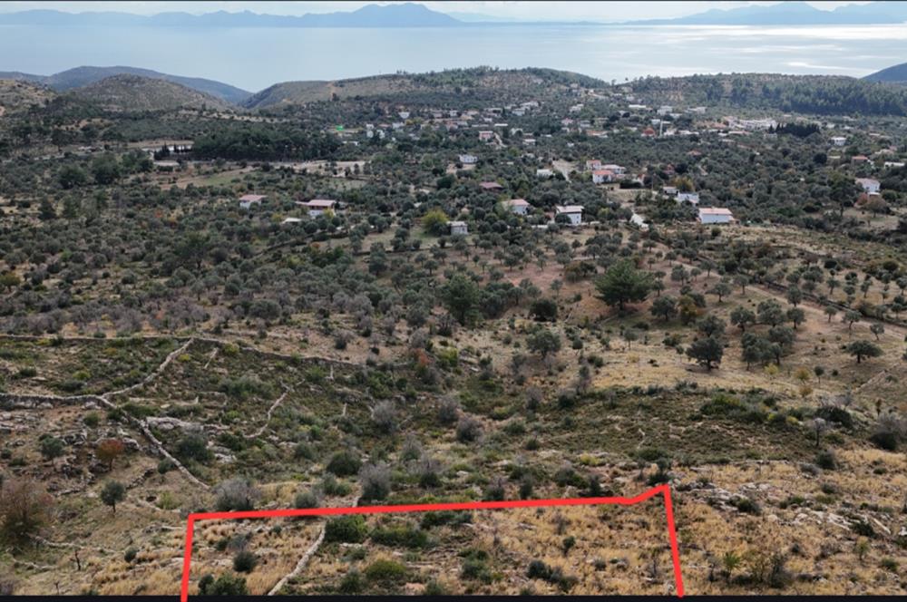 Bodrum Mazı muhtesem deniz manzaralı satılık tarla