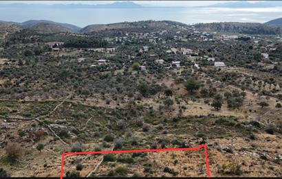 Bodrum Mazı muhtesem deniz manzaralı satılık tarla