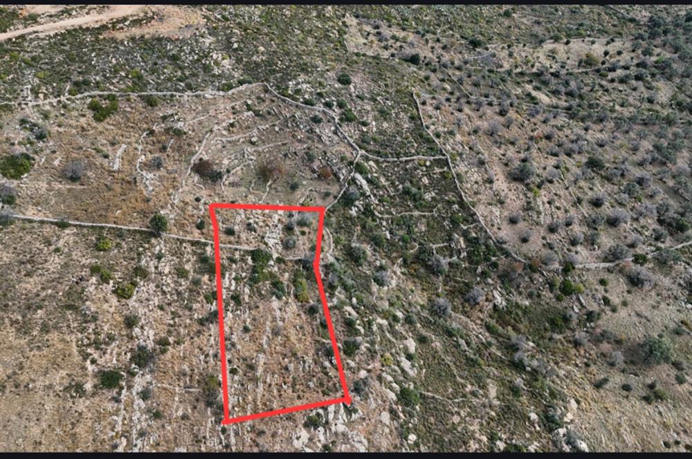 Bodrum Mazı muhtesem deniz manzaralı satılık tarla