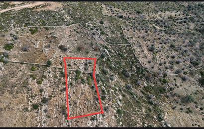 Bodrum Mazı muhtesem deniz manzaralı satılık tarla