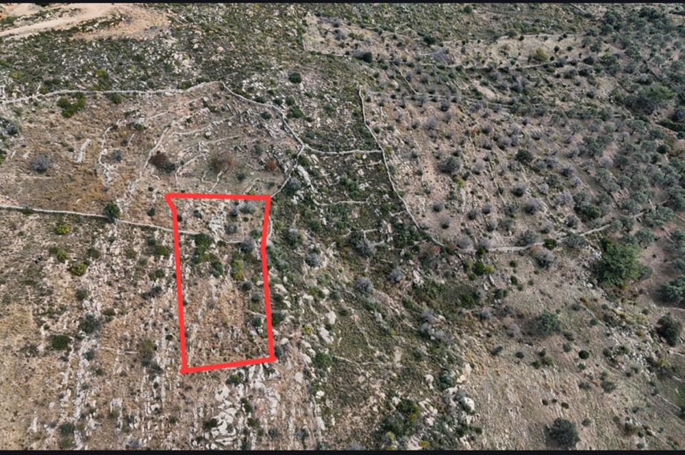 Bodrum Mazı muhtesem deniz manzaralı satılık tarla