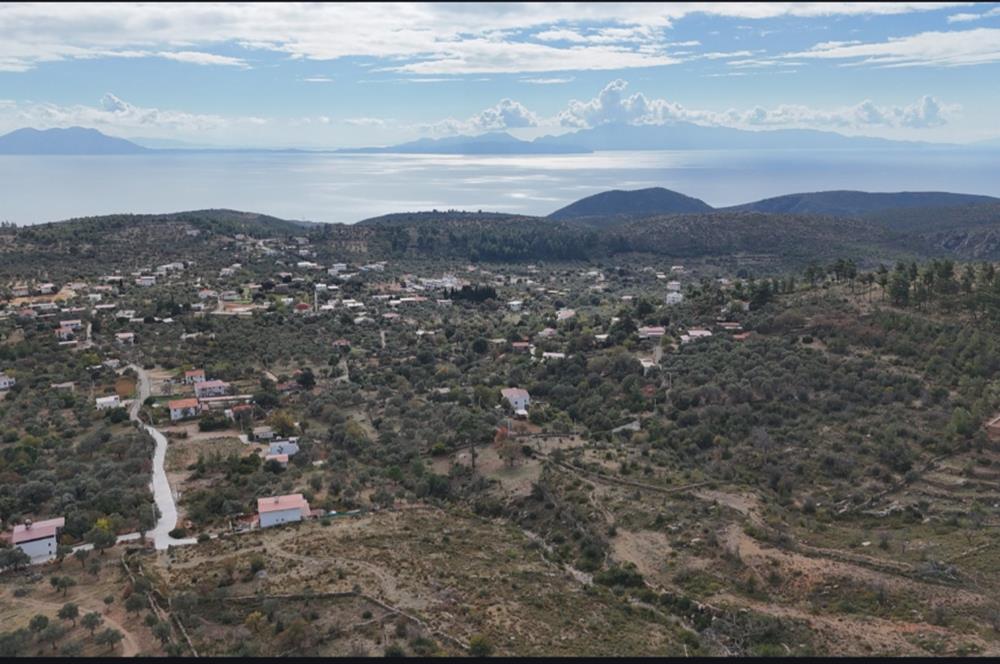 Bodrum Mazı muhtesem deniz manzaralı satılık tarla