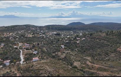 Bodrum Mazı muhtesem deniz manzaralı satılık tarla