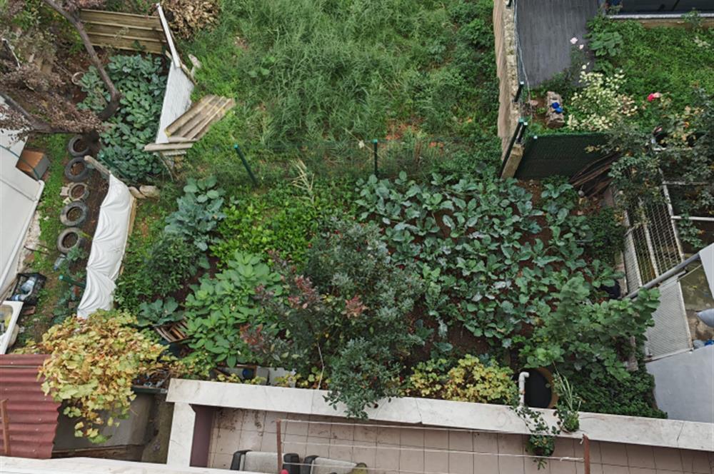 Derince Çınarlı Mah. 5+1 Satılık Dublex Daire