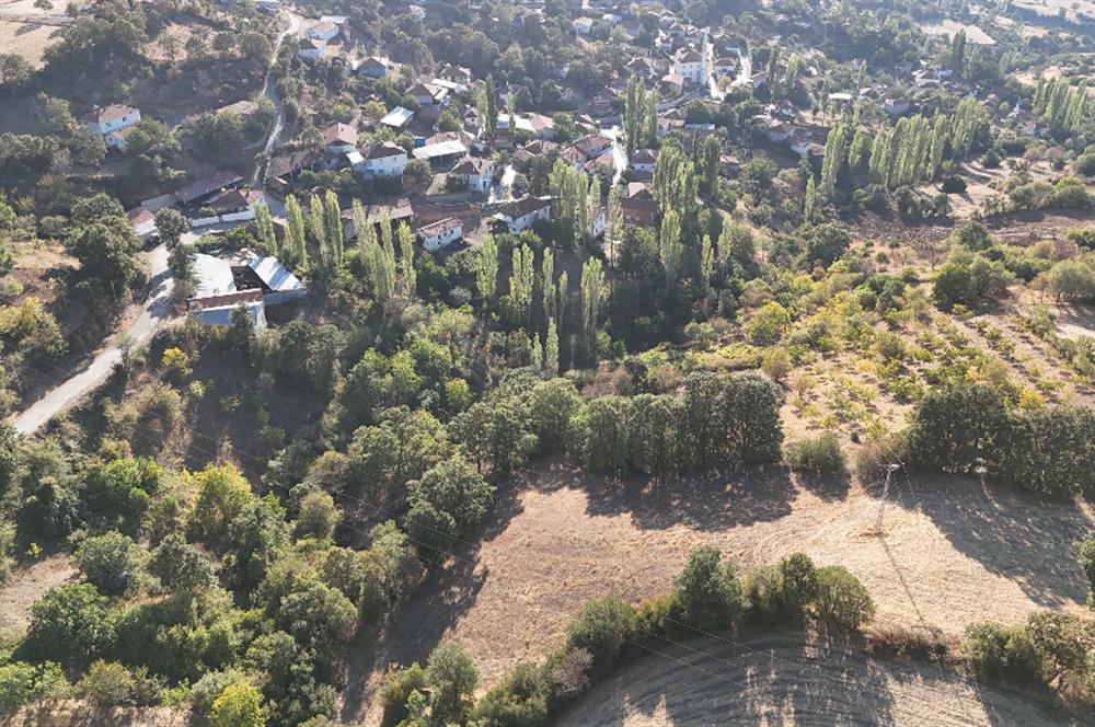 C21 WİNNER KEPSUT SAYACIK SATILIK 405m² BAĞ