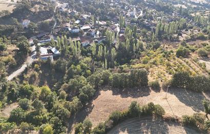 C21 WİNNER KEPSUT SAYACIK SATILIK 405m² BAĞ