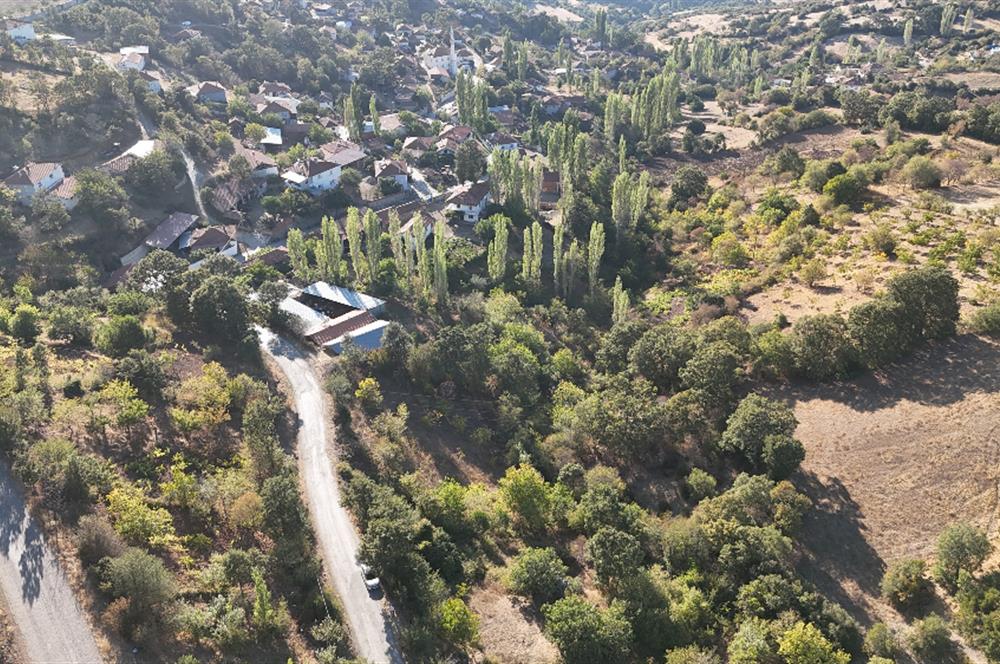 C21 WİNNER KEPSUT SAYACIK SATILIK 405m² BAĞ