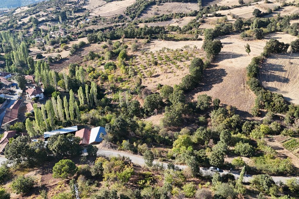 C21 WİNNER KEPSUT SAYACIK SATILIK 405m² BAĞ