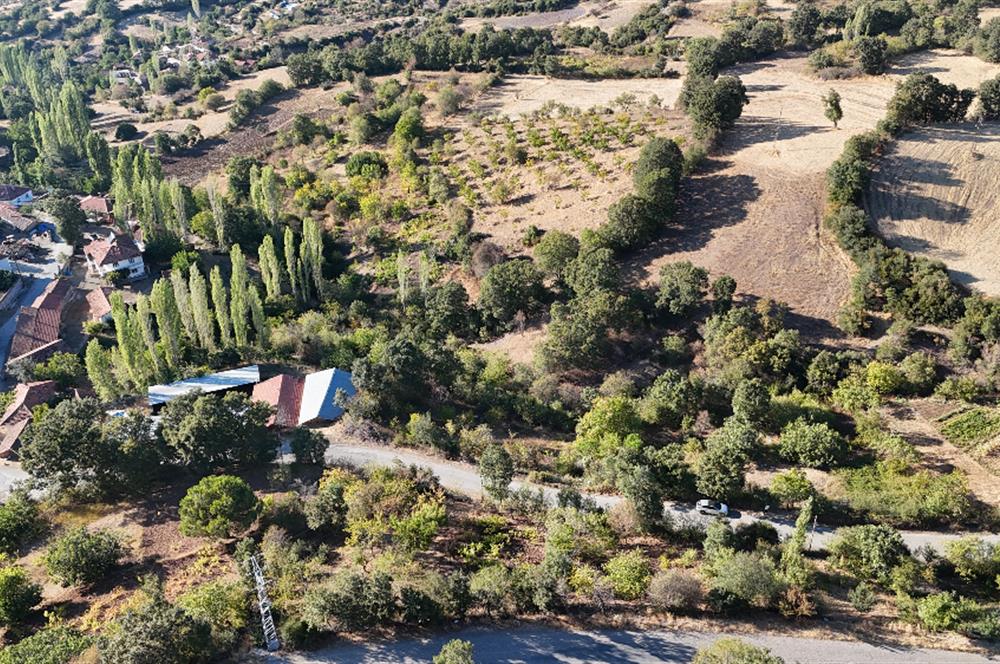 C21 WİNNER KEPSUT SAYACIK SATILIK 405m² BAĞ