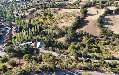 C21 WİNNER KEPSUT SAYACIK SATILIK 405m² BAĞ