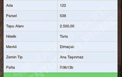 Balıkesir Gömeç Kumgedik