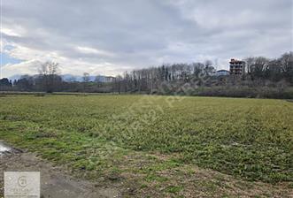 CENTURY21 PERFECT'TEN HARİKA KONUMDA SATILIK KONUT İMARLI ARSA - 1 - 29495