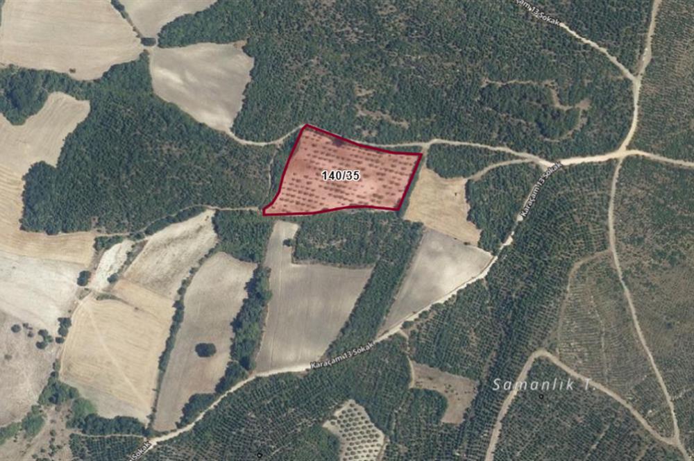 Balıkesir Savaştepe Karaçam SATILIK TARLA