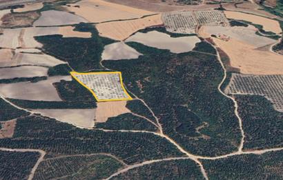 Balıkesir Savaştepe Karaçam SATILIK TARLA