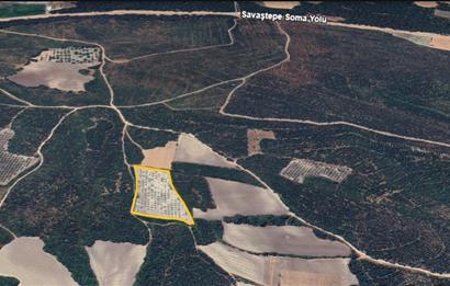 Balıkesir Savaştepe Karaçam SATILIK TARLA